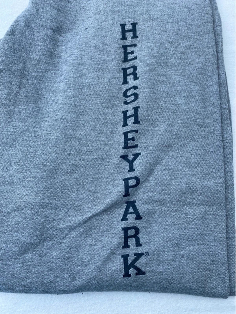 Jerzees Hershey Park Gray Sweatpants or lounge Pants Size L